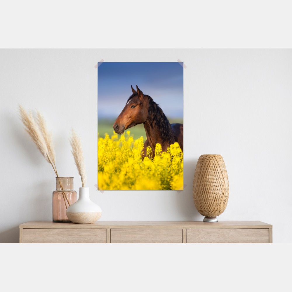 Poster braunes pferd im gelben rapsfeld – Wallnifity® Poster braunes pferd im gelben rapsfeld – Wallnifity®
