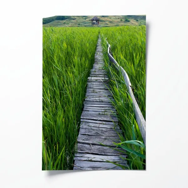 Poster tropischer strand mit palmen und segelboot – Wallnifity®