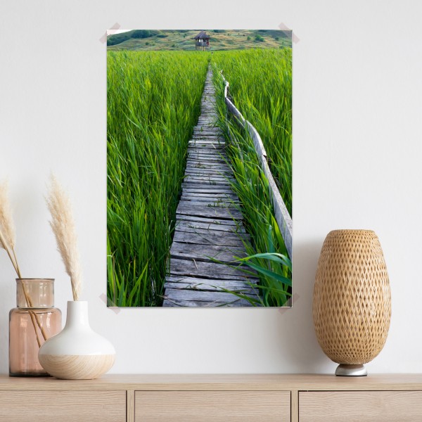 Poster ruhiger grüner steg durch schilfland zur rustikalen hütte – Wallnifity® Poster ruhiger grüner steg durch schilfland zur rustikalen hütte – Wallnifity®