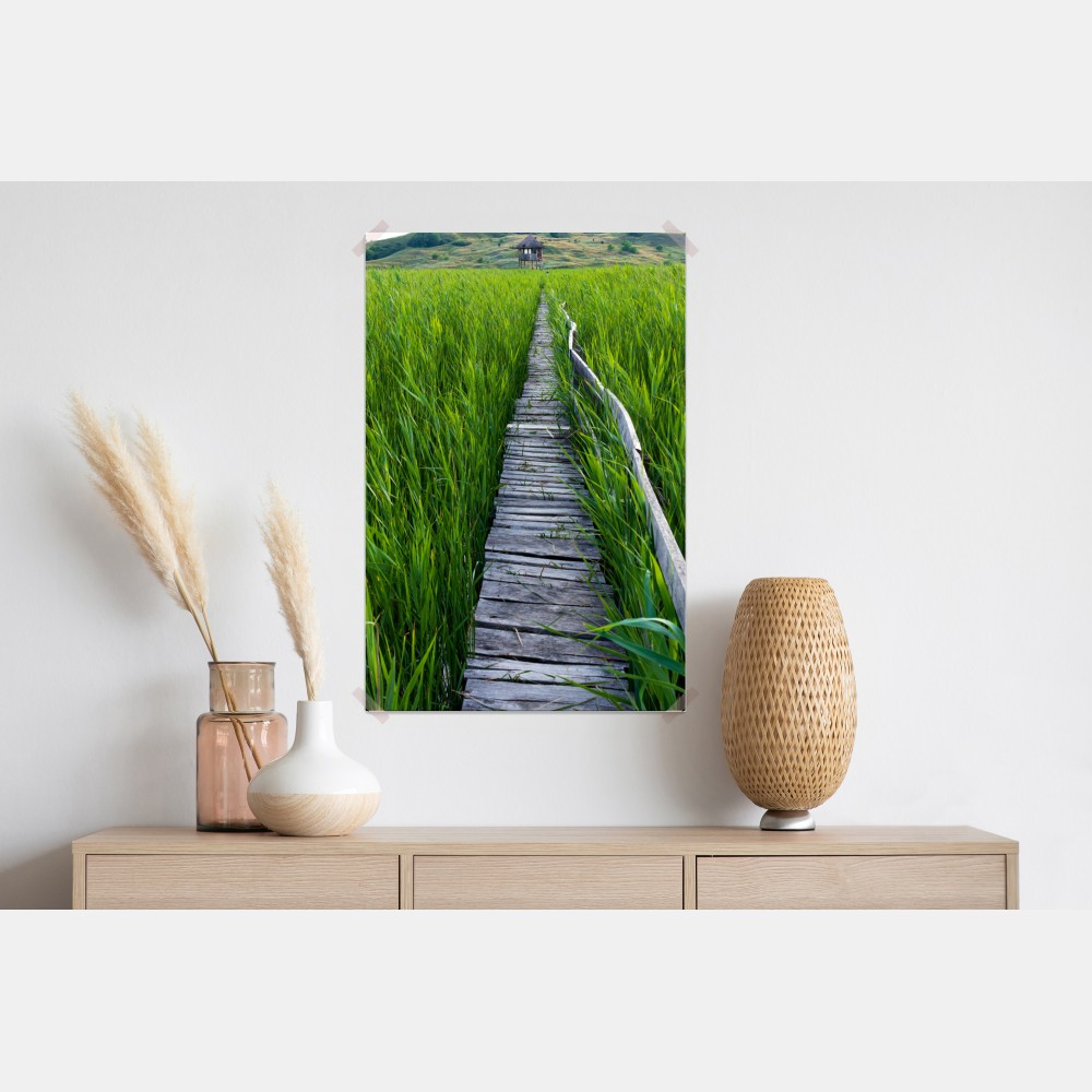 Poster ruhiger grüner steg durch schilfland zur rustikalen hütte – Wallnifity® Poster ruhiger grüner steg durch schilfland zur rustikalen hütte – Wallnifity®