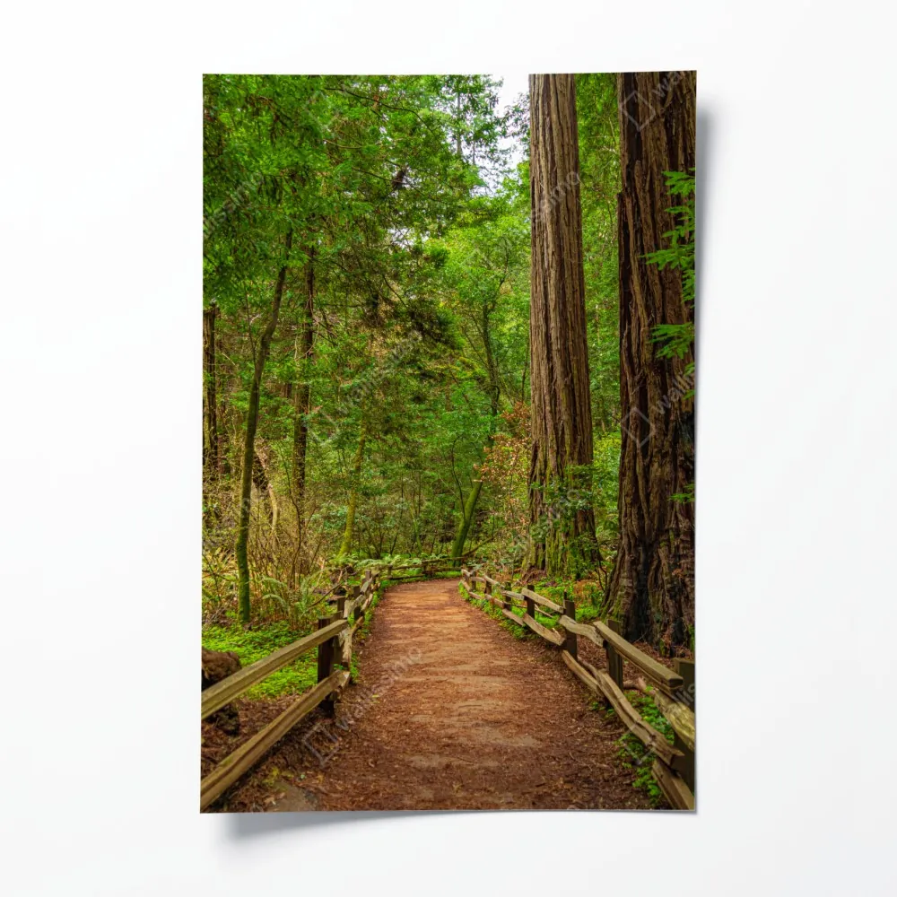 Poster majestätischer waldpfad zwischen mammutbäumen – Wallnifity® Poster majestätischer waldpfad zwischen mammutbäumen – Wallnifity®
