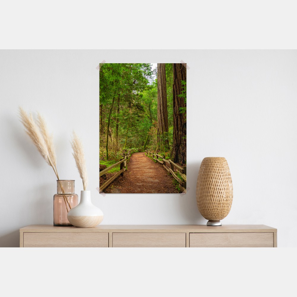 Poster majestätischer waldpfad zwischen mammutbäumen – Wallnifity® Poster majestätischer waldpfad zwischen mammutbäumen – Wallnifity®