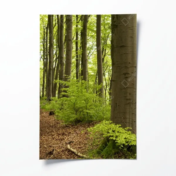 Poster mittelalterliche straße in der Toskana mit blumentöpfen – Wallnifity®