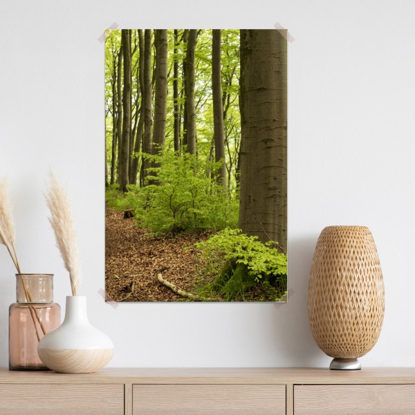 Poster ruhiger grüner waldweg – Wallnifity® Poster ruhiger grüner waldweg – Wallnifity®