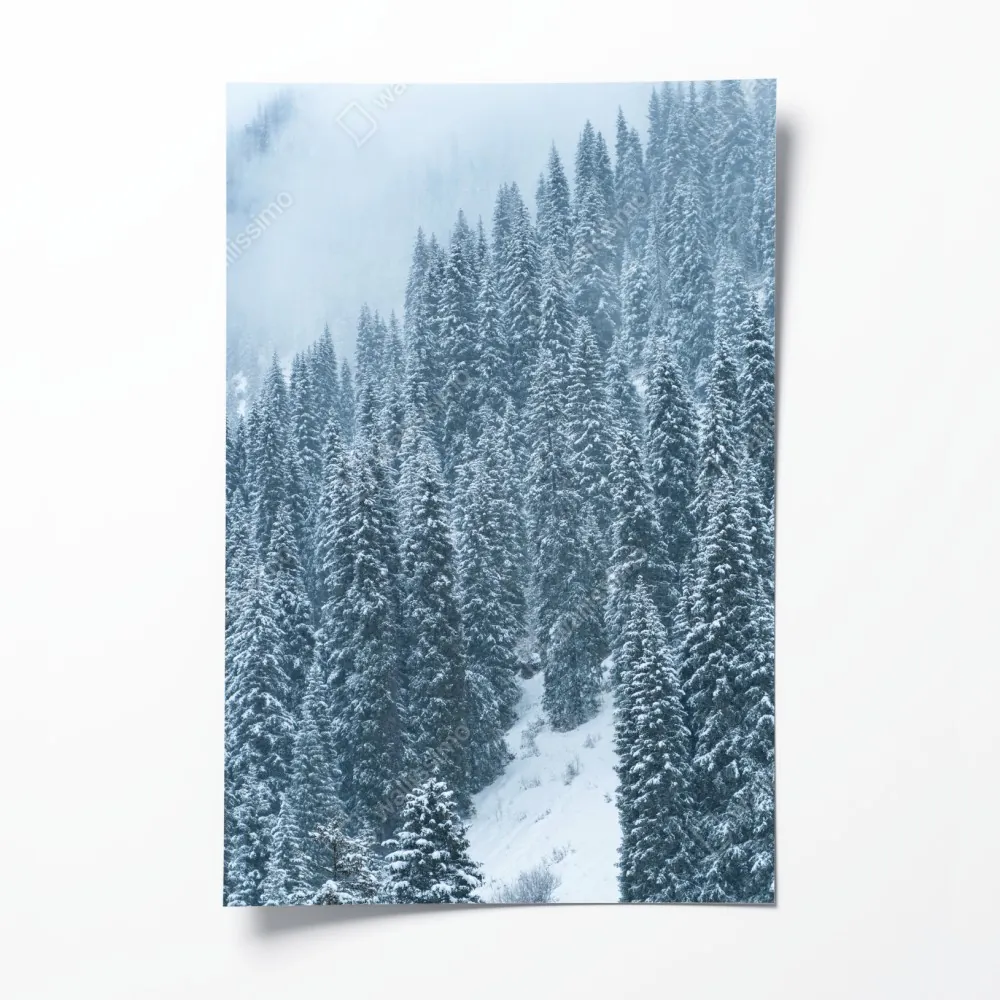 Poster nebeliger schneebedeckter kiefernwald – Wallnifity® Poster nebeliger schneebedeckter kiefernwald – Wallnifity®