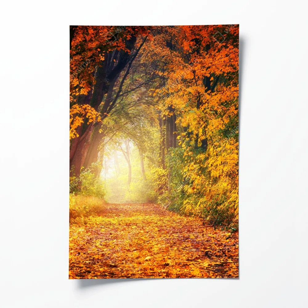 Poster herbstlicher waldpfad im goldenen licht – Wallnifity® Poster herbstlicher waldpfad im goldenen licht – Wallnifity®