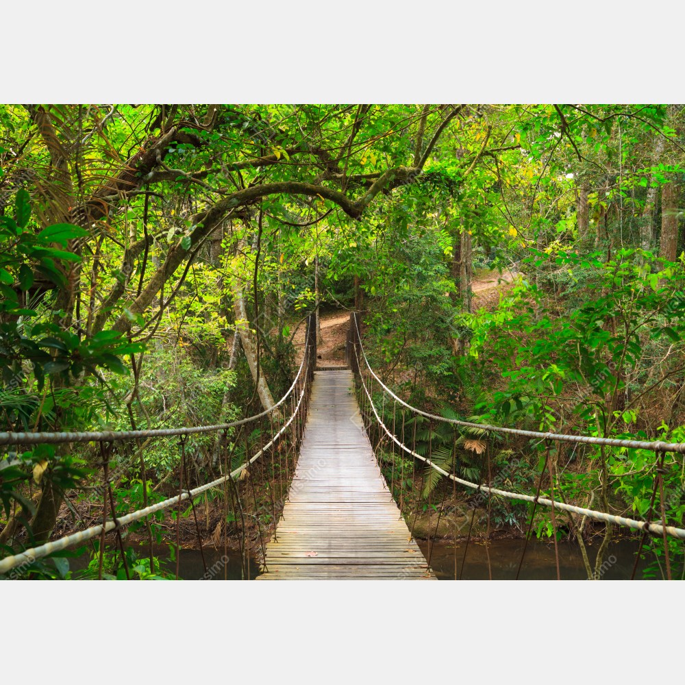 Poster hängende holzbrücke im grünen wald – Wallnifity® Poster hängende holzbrücke im grünen wald – Wallnifity®