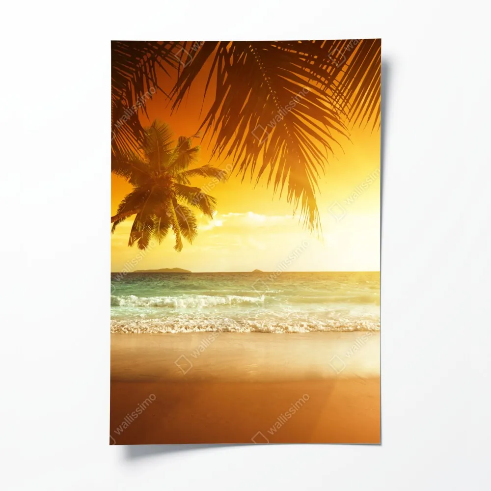 Poster goldener sonnenuntergang an einem strand in der Karibik – Wallnifity® Poster goldener sonnenuntergang an einem strand in der Karibik – Wallnifity®