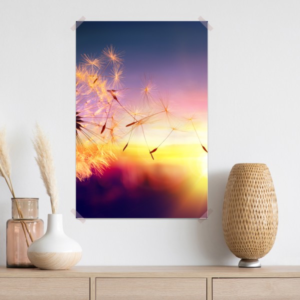 Poster goldener löwenzahn bei sonnenuntergang – Wallnifity® Poster goldener löwenzahn bei sonnenuntergang – Wallnifity®