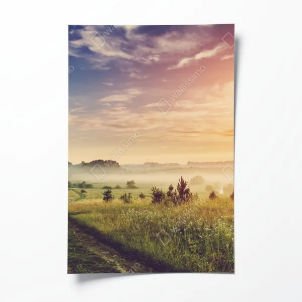 Poster Tampa skyline bei nacht – Wallnifity®