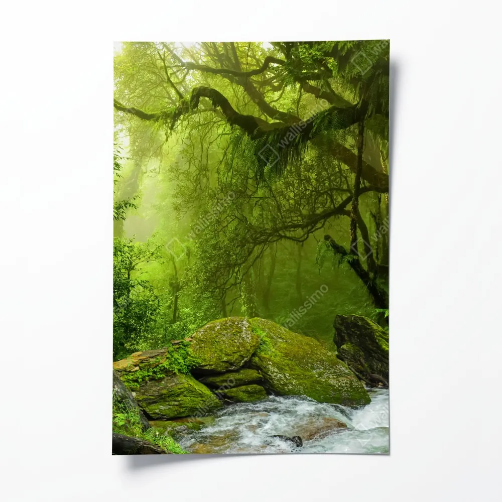 Poster verzauberter grüner waldbach – Wallnifity® Poster verzauberter grüner waldbach – Wallnifity®